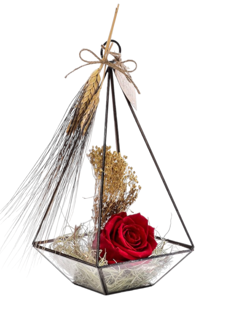 Kırmızı Solmayan Gül Cam Teraryum – Kalıcı Aşkın Zarif Simgesi