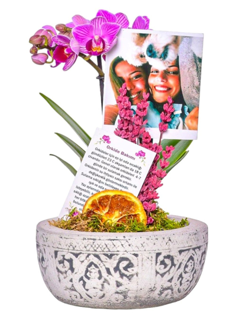 Kişiye Özel Fotoğraflı Pembe Orkide Aranjmanı – Zarif Hediye Seçimi