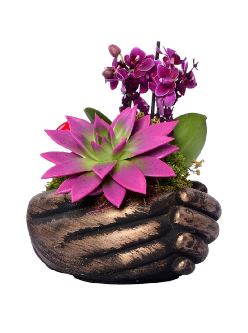El Figürlü Sukulent ve Orkide Aranjmanı – Zarif ve Anlamlı Hediye